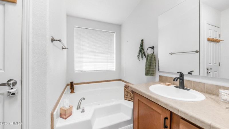 2550 S Ellsworth Rd Unit 751 (12)