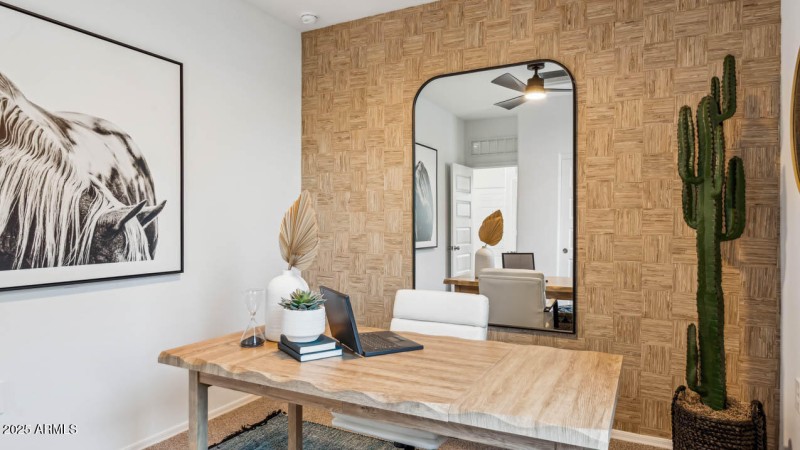 Photo is of model. Packages may vary.