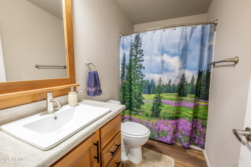 KNK-905 Mnt Lion Pass-94