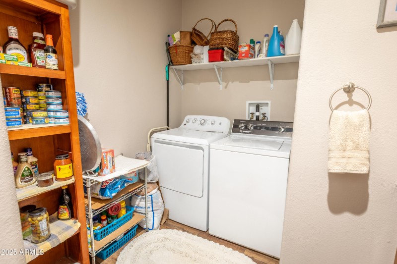 KNK-905 Mnt Lion Pass-87