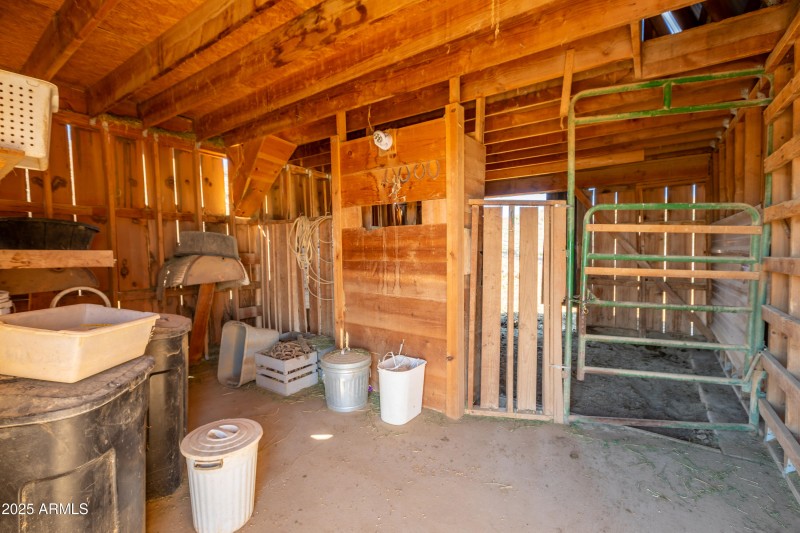 KNK-905 Mnt Lion Pass-34