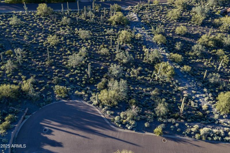 Aerial_5 front curb overhead