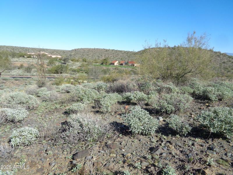 Build area landscape (1)