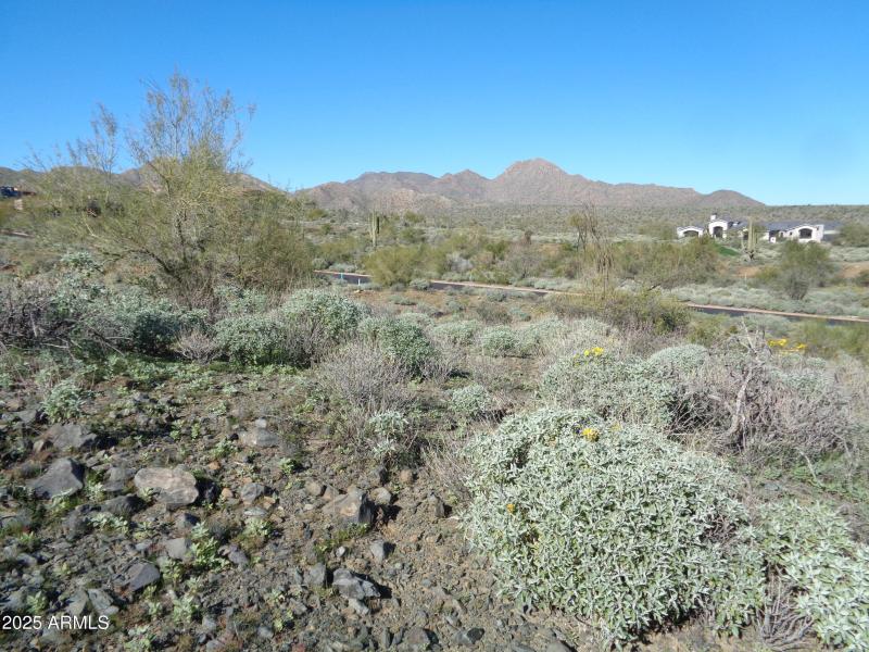 Build area landscape (2)