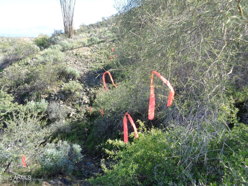 Follow Orange flags onto build area