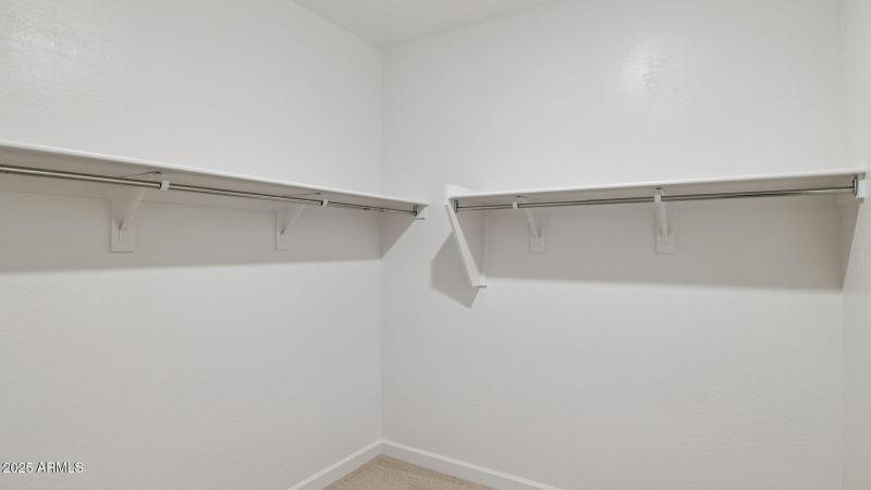 3985_Phoenician_Lot 2081_Aloravita_Peori