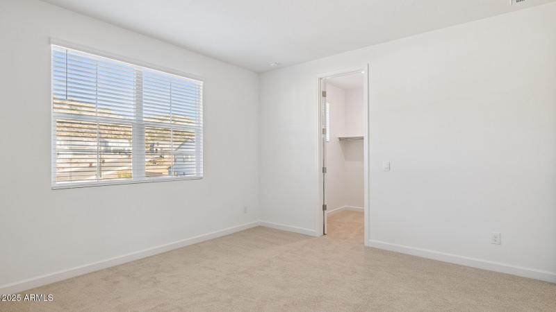 3985_Phoenician_Lot 2081_Aloravita_Peori