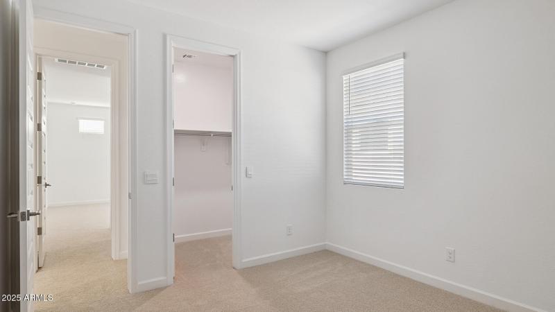 3985_Phoenician_Lot 2081_Aloravita_Peori