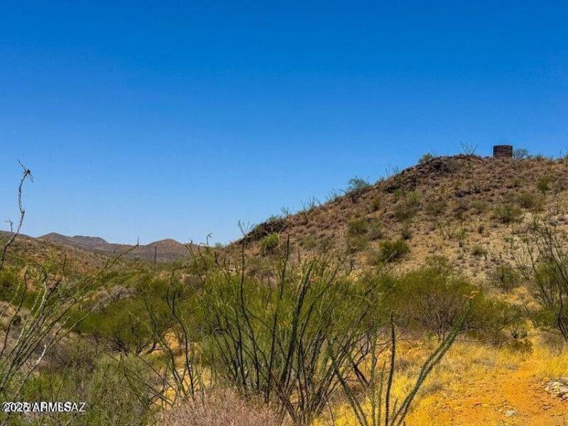 20251008080119751906000000-o