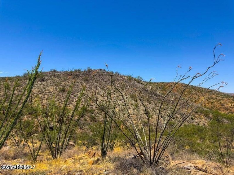 20251008080231206607000000-o