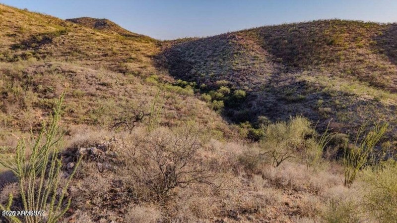 20251008080506207688000000-o