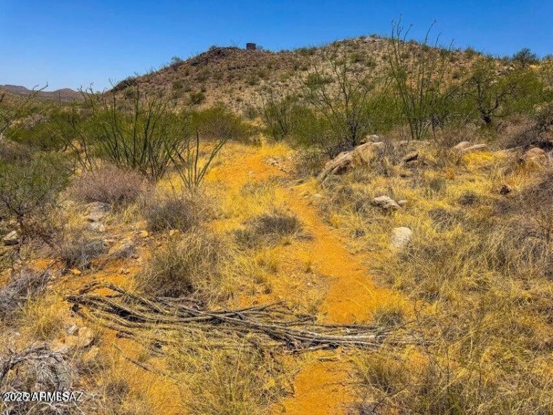 20251008080440676078000000-o