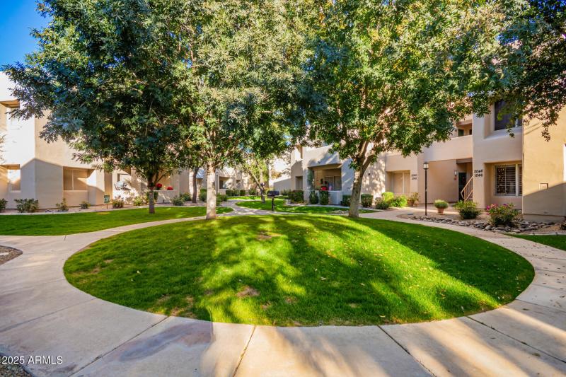 Beautiful Community Amenities