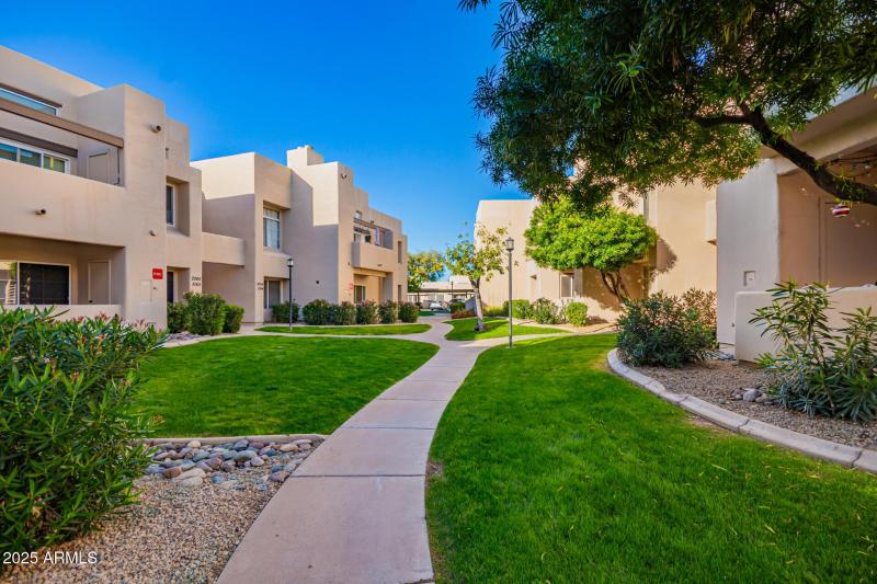 Beautiful Community Amenities