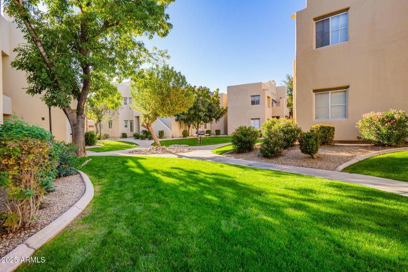 Beautiful Community Amenities