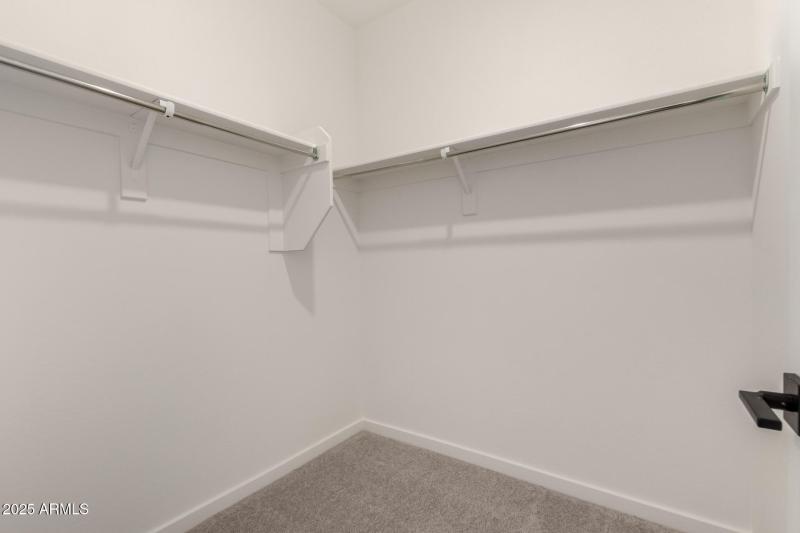 31 - Palo Brea 30154