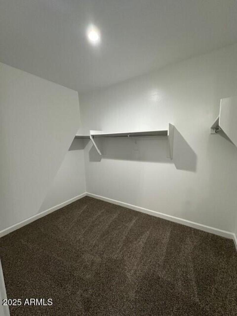 Lot 101 Primary Closet