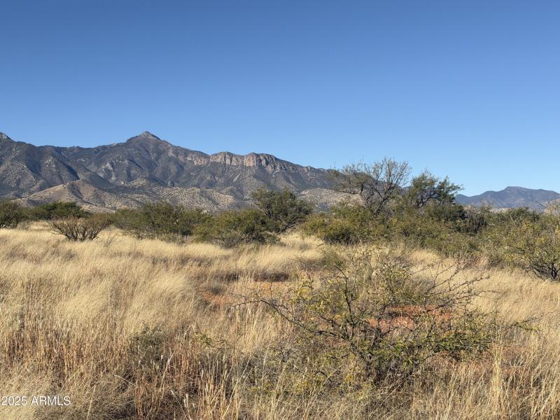 Photo Dec 13 2025, 9 51 53 AM