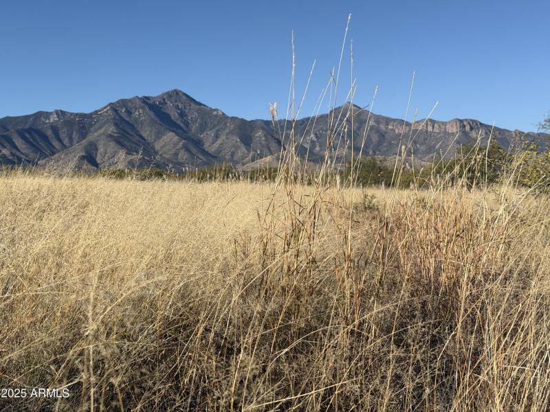 Photo Dec 13 2025, 9 52 17 AM