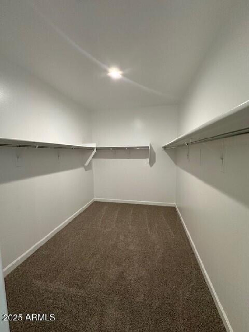 Lot 19 Primary Bedroom Walk in Closet