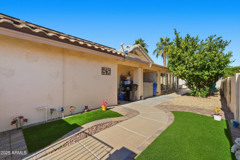 Side Yard with Lemon and Lime trees