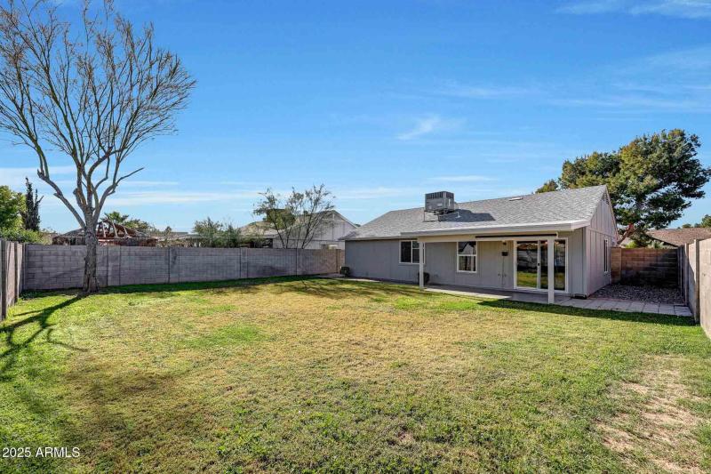 Back yard natural grass