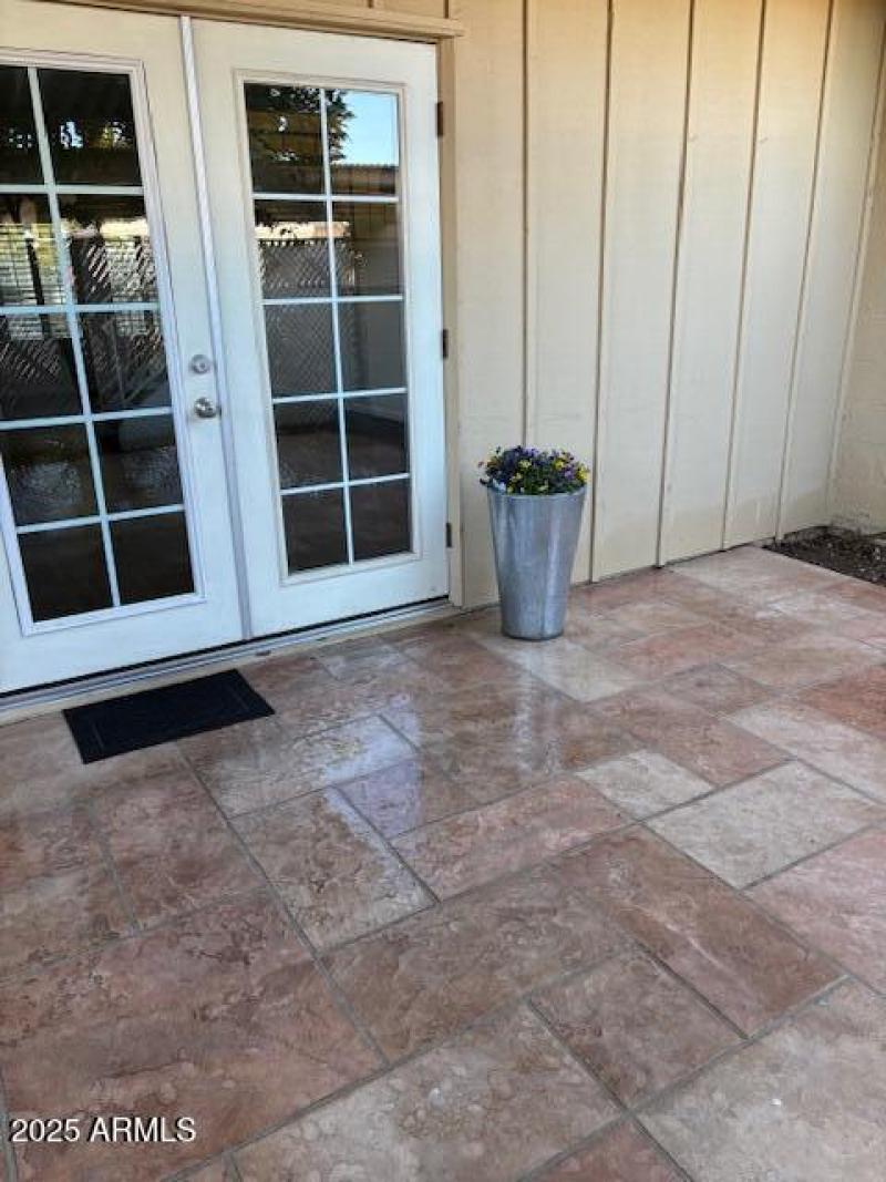 Back Patio French Doors