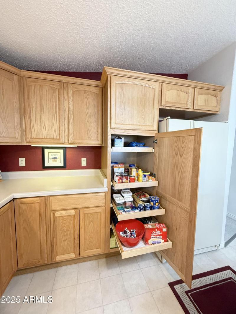 Roll outs in several bottom Cabinets