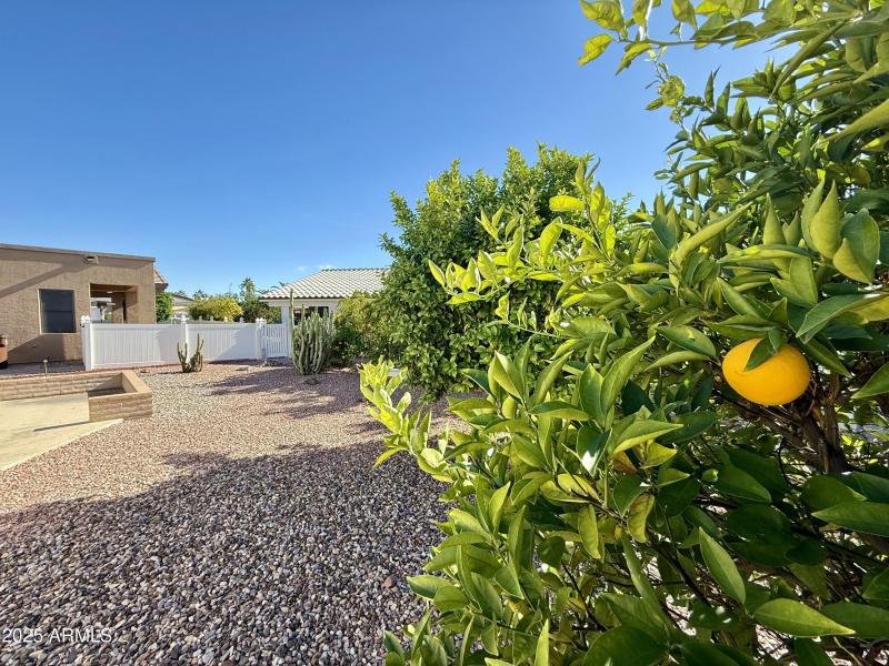 FFD0382A-D4E5-488D-94C9-5FD7DB7AAD2E_1_2