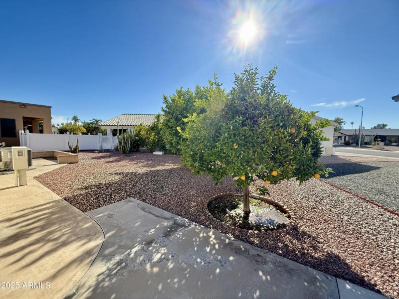 A42C03F1-1A97-4785-BEF5-378B78CBD6E3_1_2