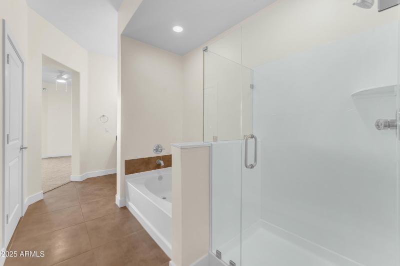 Master Walk-in shower