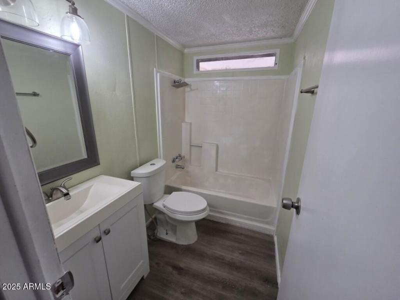 20251208_121531 (Medium)