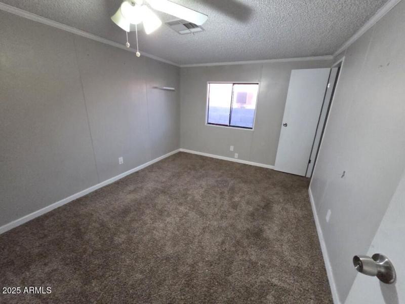 20251208_121559 (Medium)