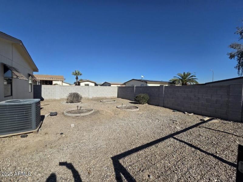 20251208_121819 (Medium)