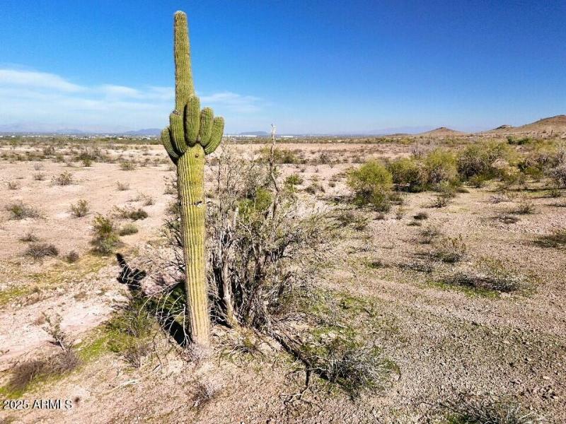 DJI_20251130134859_0901_D_EROSENWALD