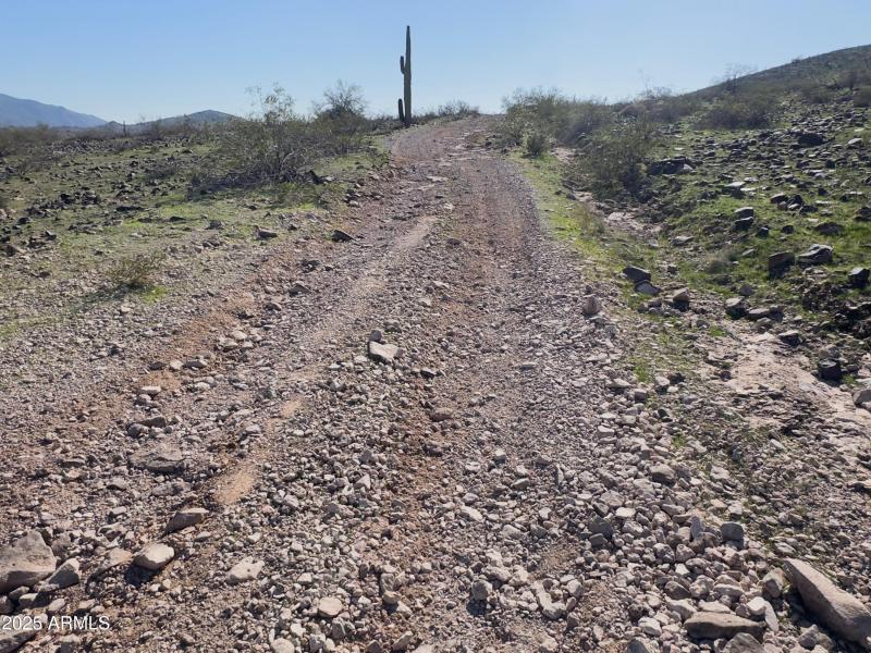 Ground Photos - 6 of 14