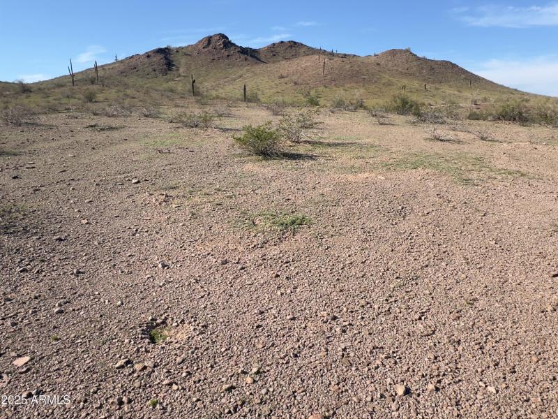 Ground Photos - 9 of 14 (1)