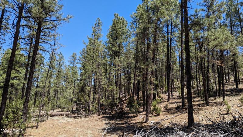 PXL_20240528_181421844