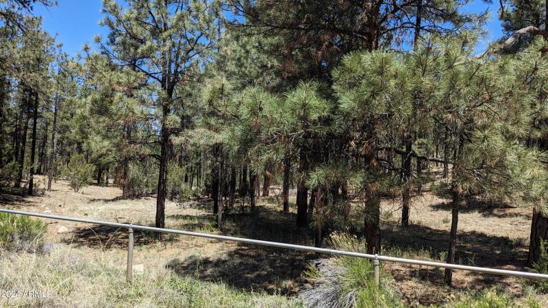 PXL_20240528_181819125