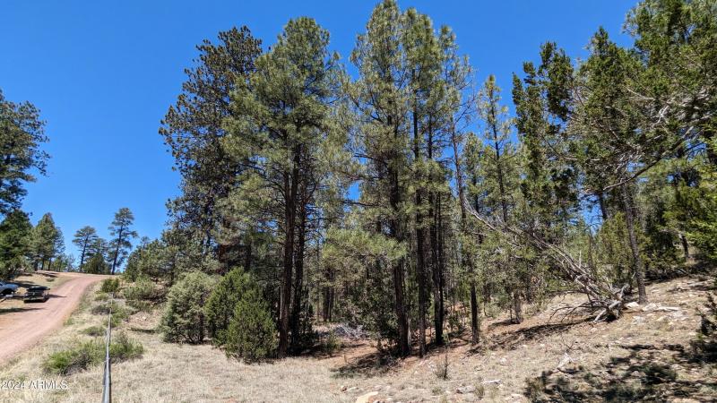 PXL_20240528_182923410