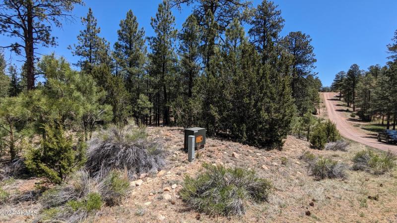 PXL_20240528_183021326