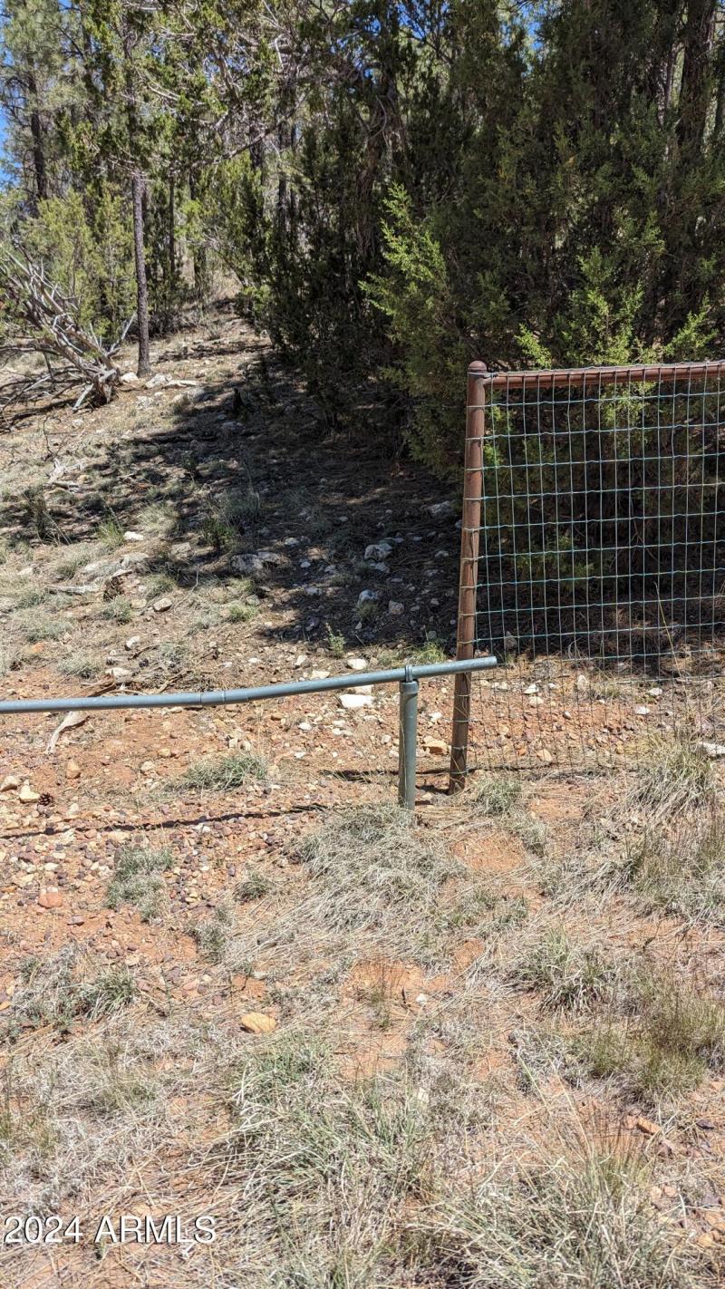 PXL_20240528_180607874.MP