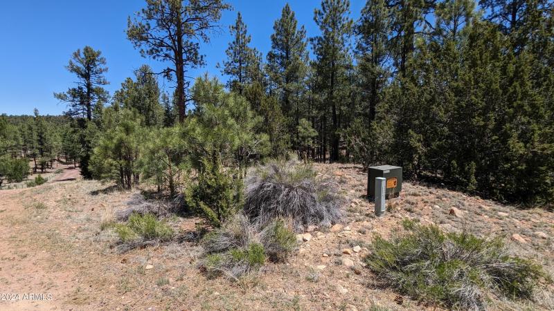 PXL_20240528_183024628