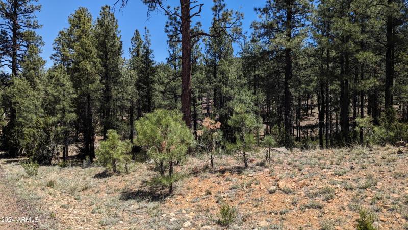 PXL_20240528_183058448