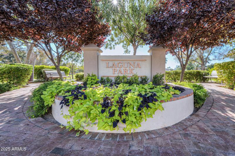 Dobson Ranch Community Photo