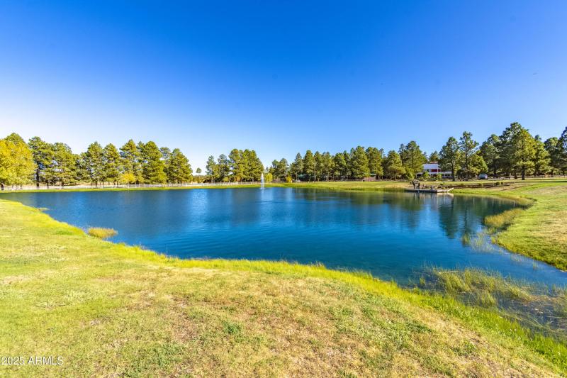 2353 Quarter Horse Trail #238__118