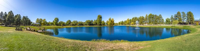 2353 Quarter Horse Trail #238__120