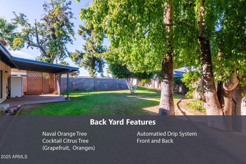 Backyard Features - 3834 E Crotez-01