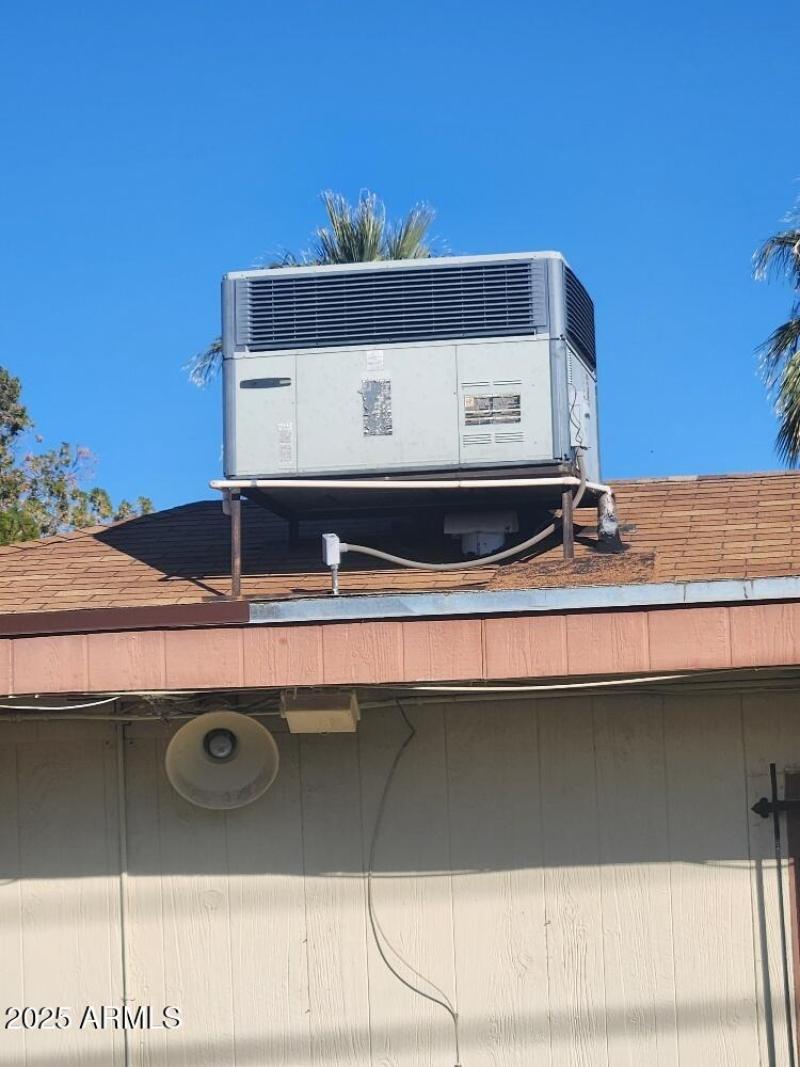 20251215_101210_resized