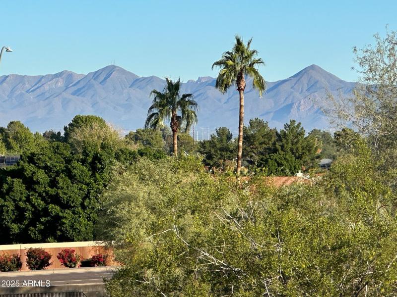 View Facing McKellips 4